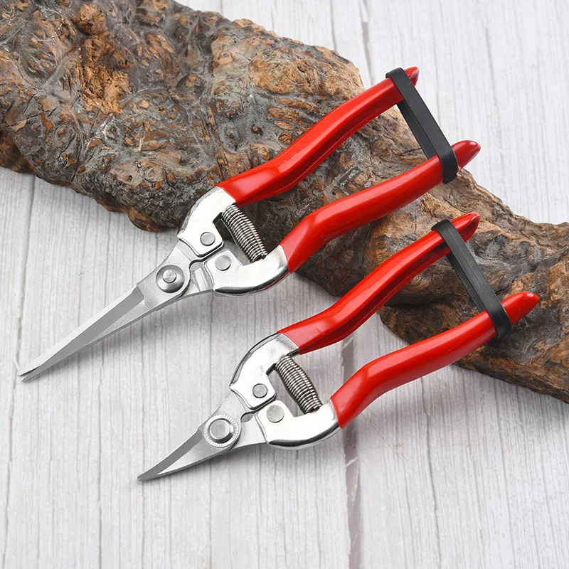 Gardening Tools Pink - الفولاذ المقاوم للصدأ مقص التقليم البستنة