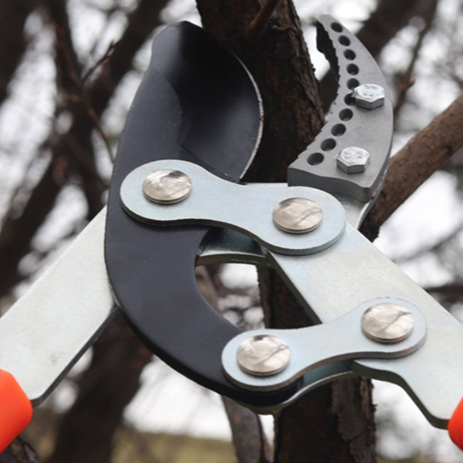 Pruning Shears - مقصات تقليم الأغصان التلسكوبية ذات الشفرة