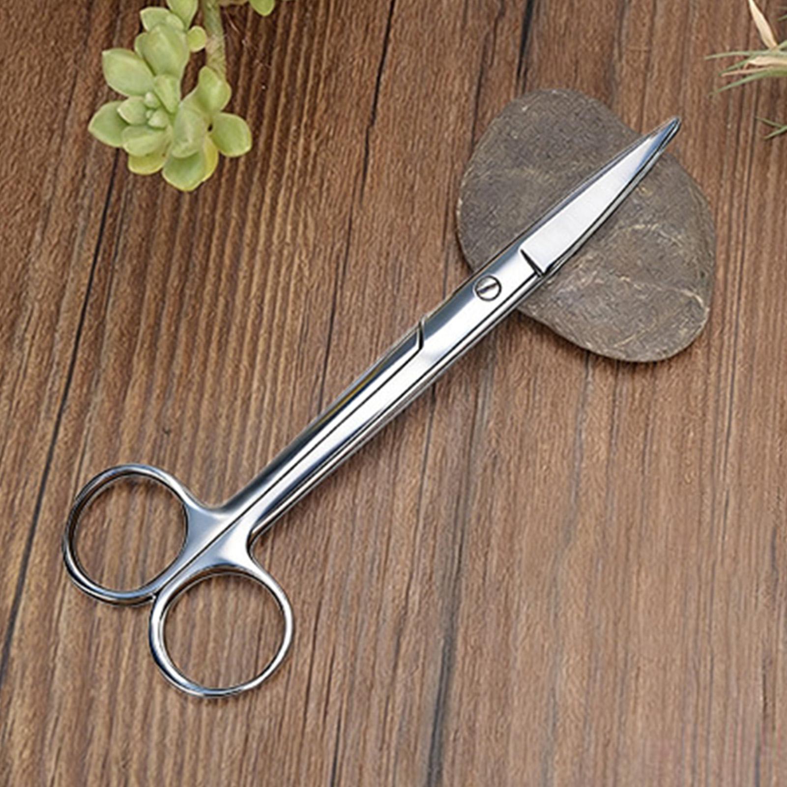 Pruning Shears - مقصات تقليم النباتات من الفولاذ المقاوم