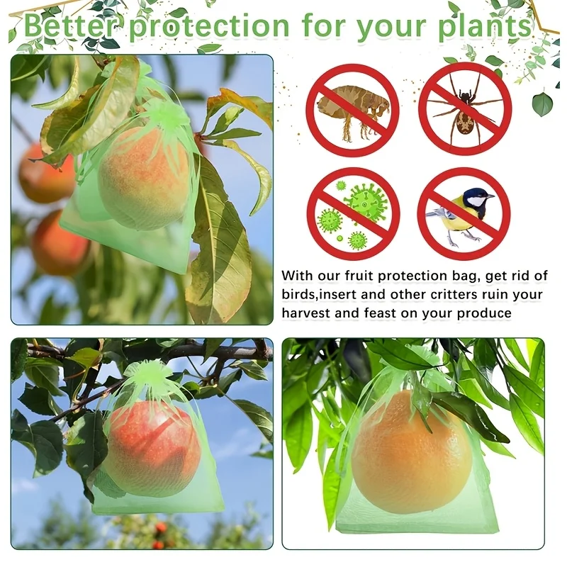 100 قطعة من الأكياس الواقية ال - مراجعة Grow Bags وسعره