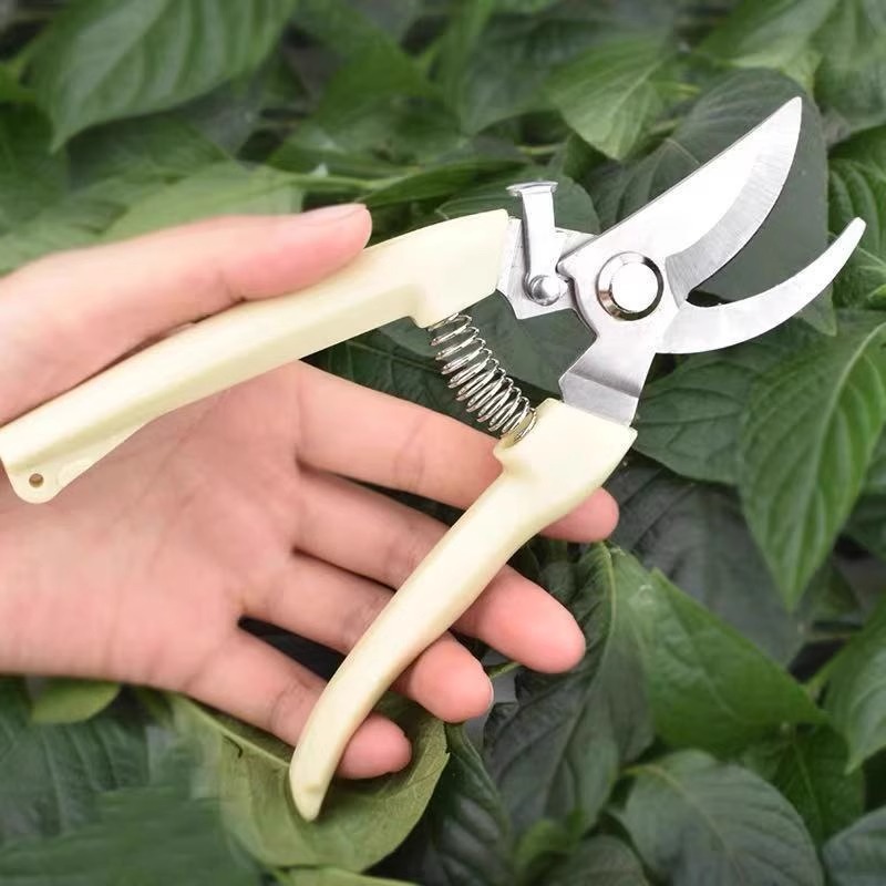 مقص تقليم كهربائي لأشجار الفاك - مراجعة Gardening Tools Pink وسعره