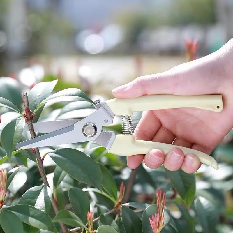 مقص تقليم كهربائي لأشجار الفاك - مراجعة Gardening Tools Pink وسعره