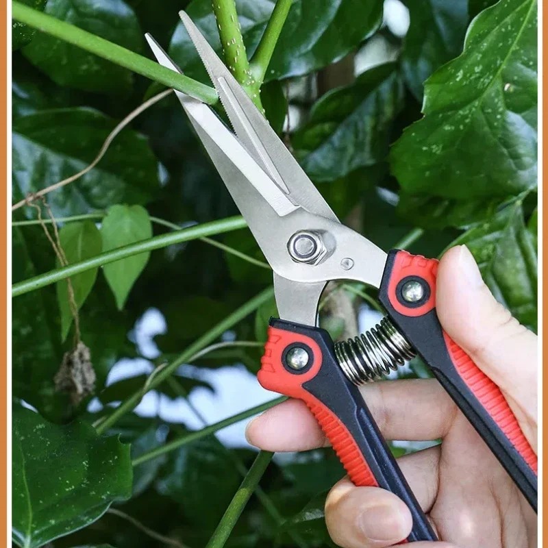 مقص تقليم من الفولاذ المقاوم ل - مراجعة Gardening Tools Pink وسعره