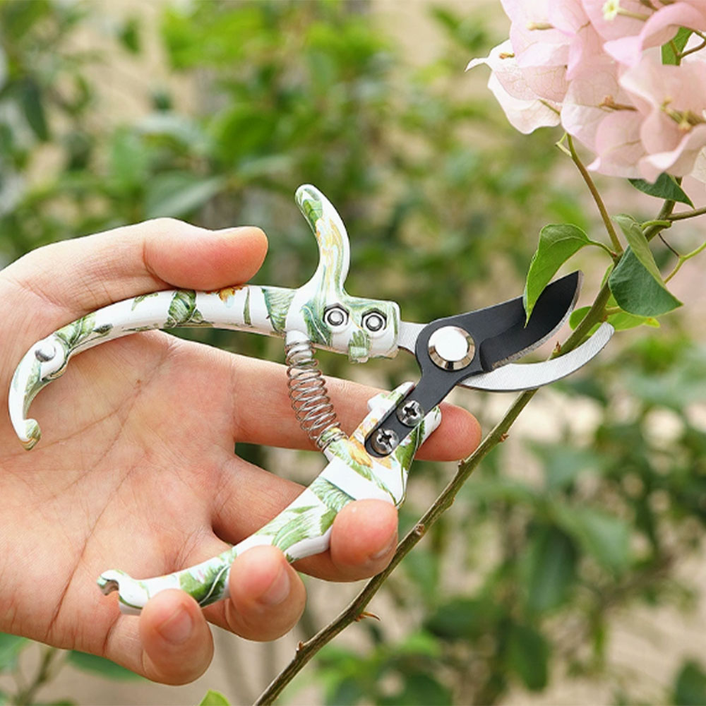 مقصات تقليم الحدائق من الفولاذ - مراجعة Gardening Tools Pink وسعره