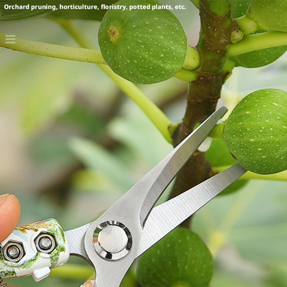 مقصات تقليم الحدائق من الفولاذ - مراجعة Gardening Tools Pink وسعره