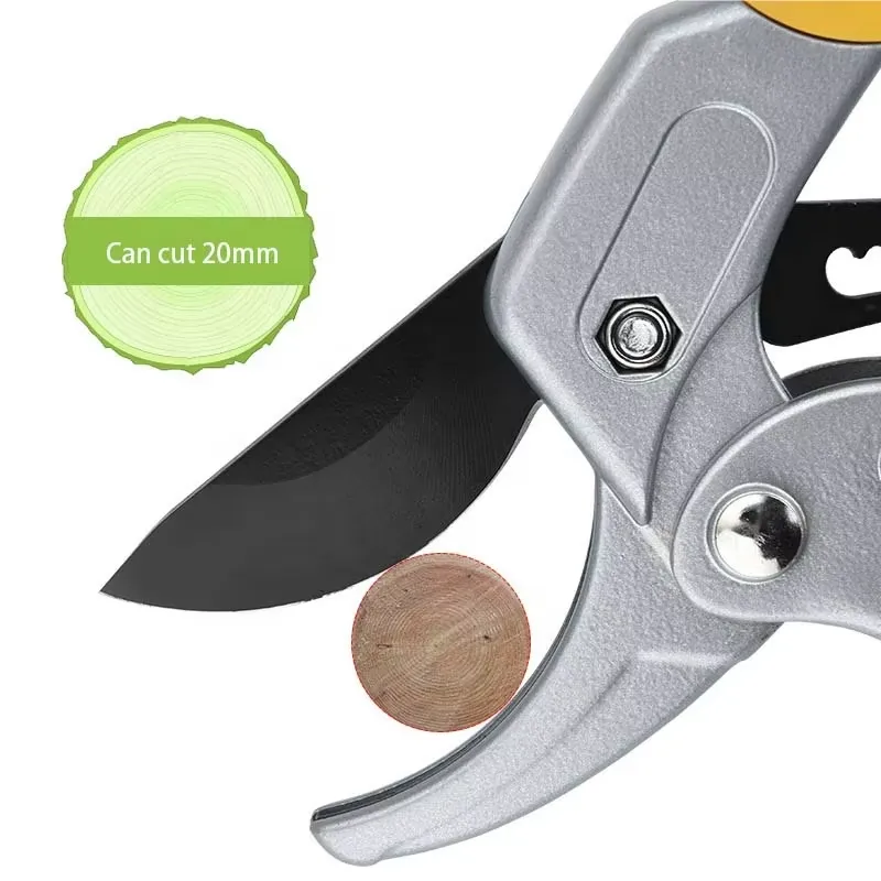 مقص تقليم EE1 الأكثر مبيعًا، م - مراجعة Pruning Shears وسعره
