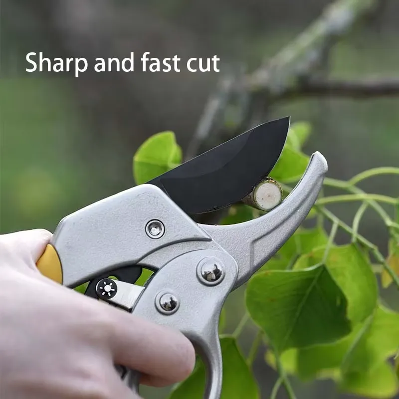 مقص تقليم EE1 الأكثر مبيعًا، م - مراجعة Pruning Shears وسعره