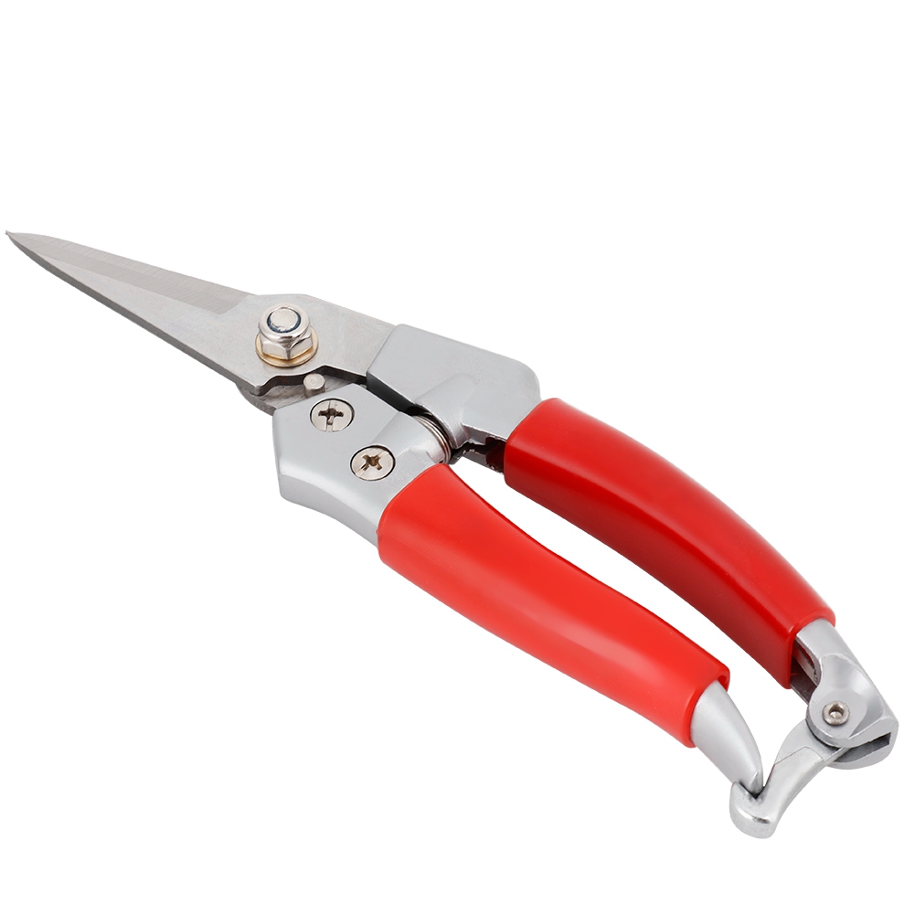 مقص تقليم النباتات المستقيم، م - مراجعة Pruning Shears وسعره