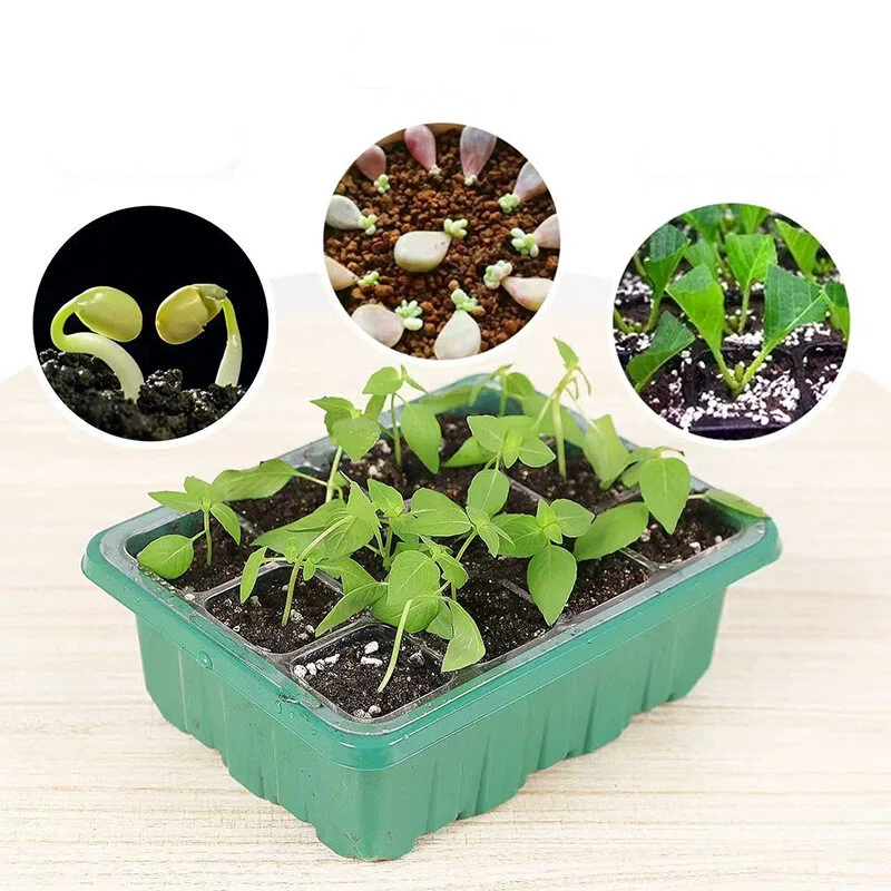 5 قطع، مجموعة أدوات لزراعة الب - مراجعة Propagation Tray Dome وسعره