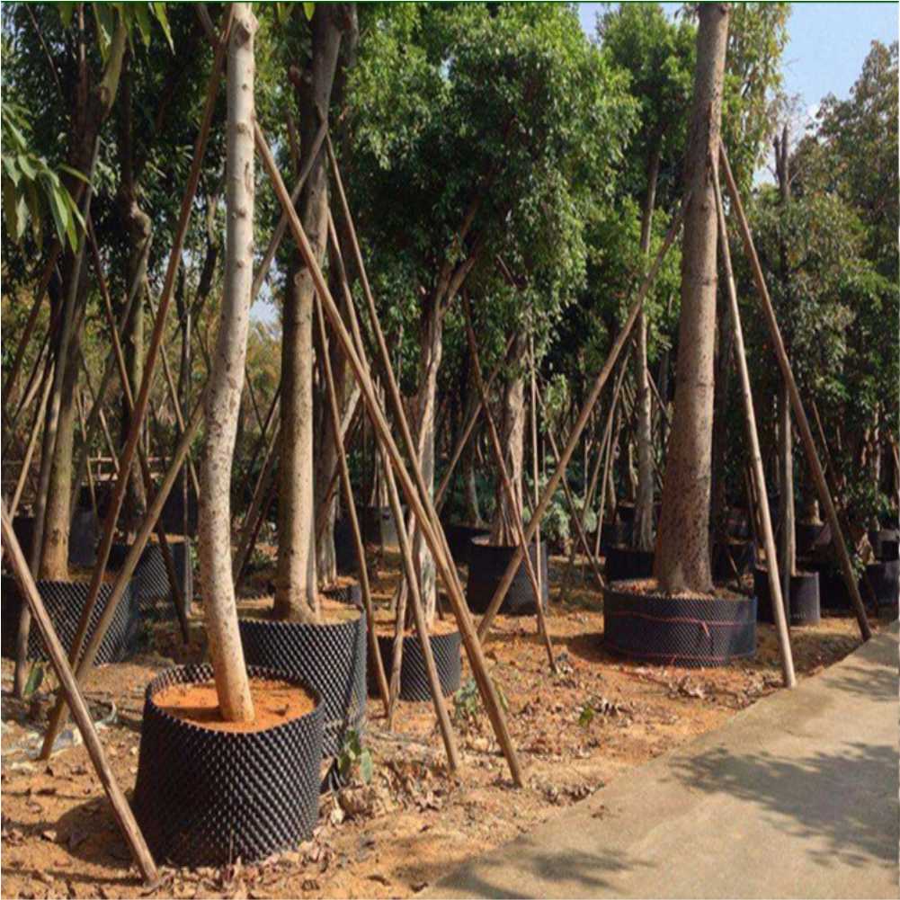 أداة زراعة وتحويل نباتات البون - مراجعة Gardening Tool وسعره
