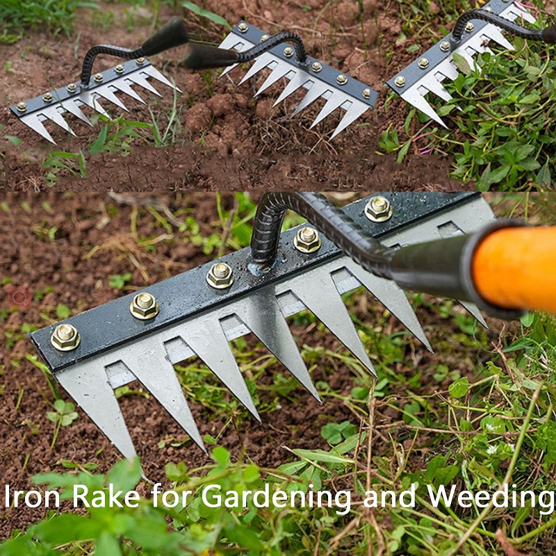 5/6/7/8 الأسنان 1 قطعة الكربون - مراجعة Gardening Tools On Sale وسعره