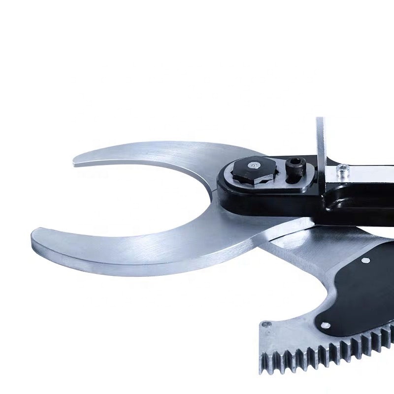 أدوات زراعية من الخيزران بتصمي - مراجعة Pruning Shears وسعره