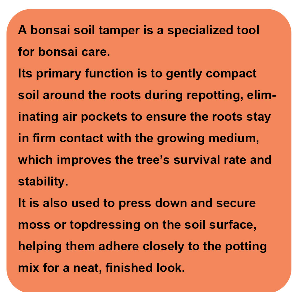أدوات البونساي: مدك تربة البون - مراجعة Gardening Tools Pink وسعره