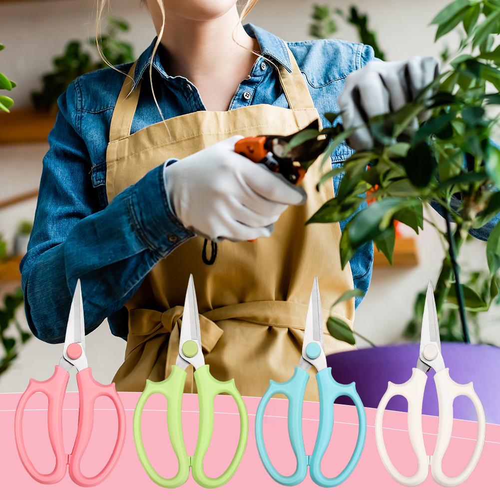 مقص بونساي احترافي، مقص حدائق، - مراجعة Gardening Tools Pink وسعره