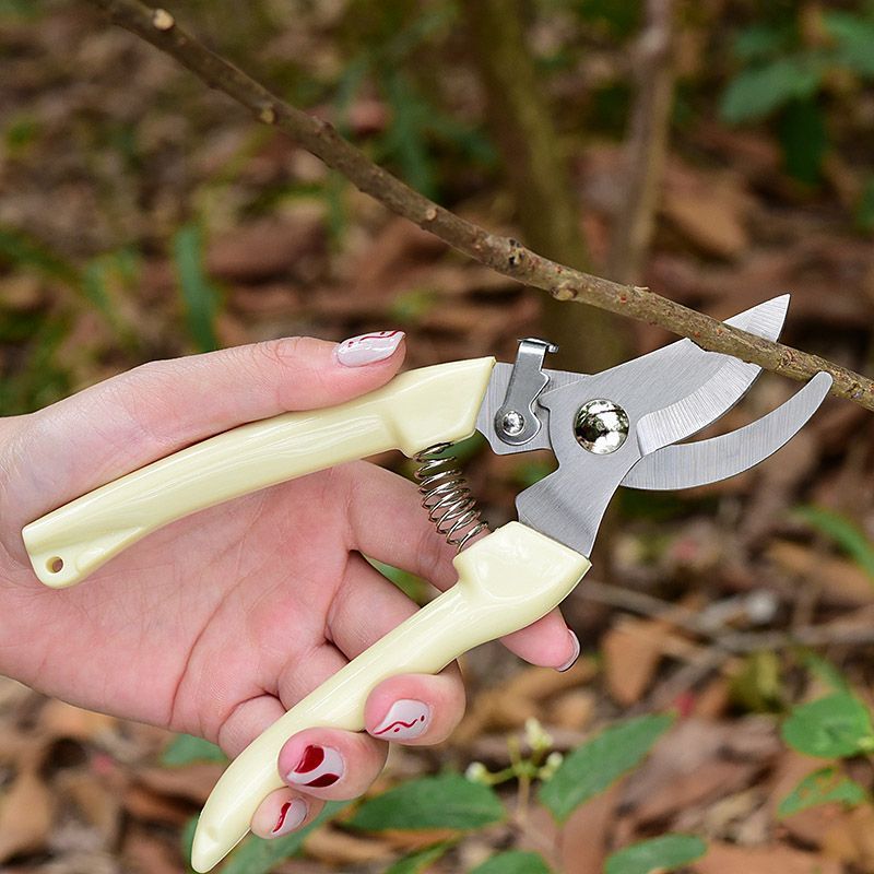 مقص تقليم الحدائق الموفر للجهد - مراجعة Pruning Shears وسعره