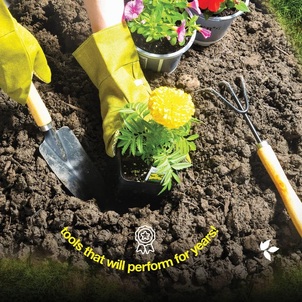 مجموعة أدوات الحدائق 9 قطع/مجم - مراجعة Gardening Tools On Sale وسعره