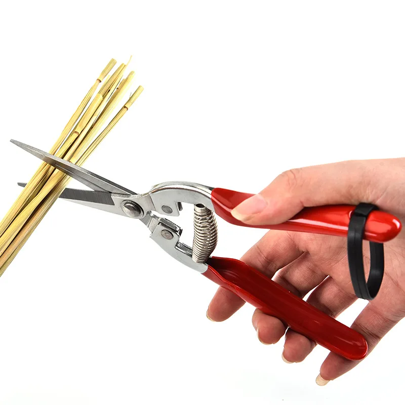 الفولاذ المقاوم للصدأ مقص التق - مراجعة Gardening Tools Pink وسعره