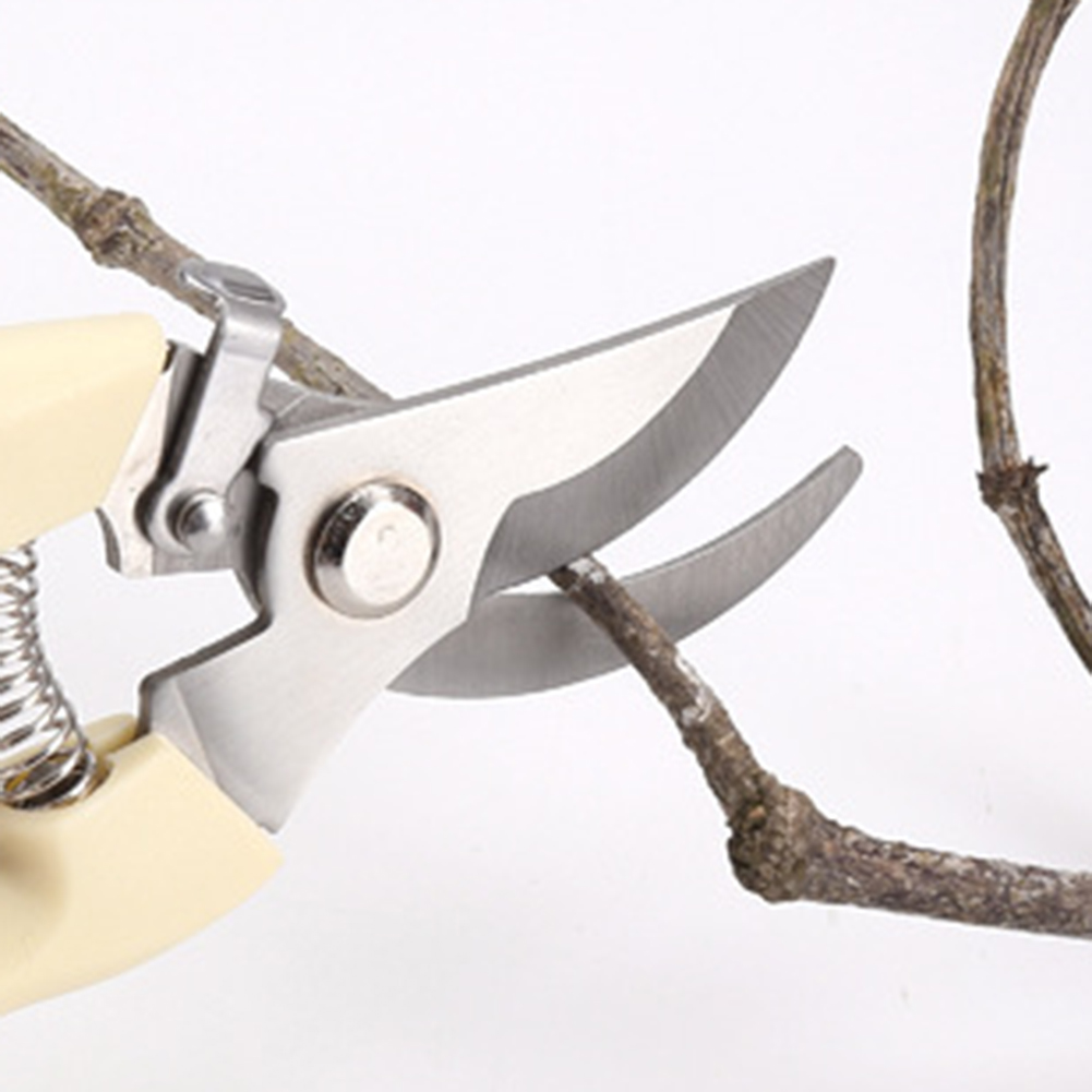 مقصات المقلم أدوات يدوية بونسا - مراجعة Gardening Tools Pink وسعره