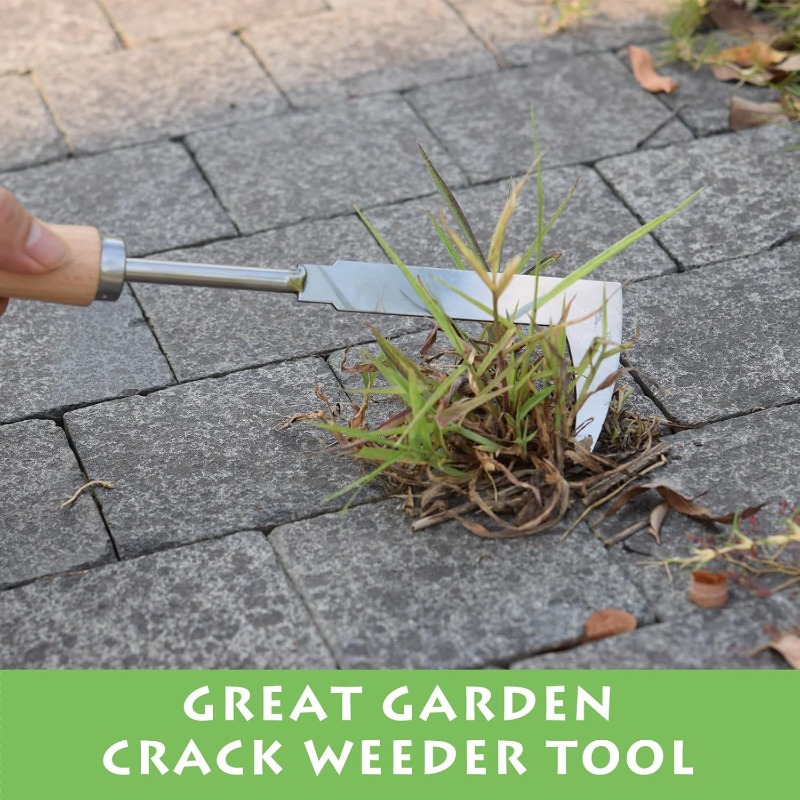 أداة إزالة الأعشاب الضارة من ا - مراجعة Gardening Tools On Sale وسعره