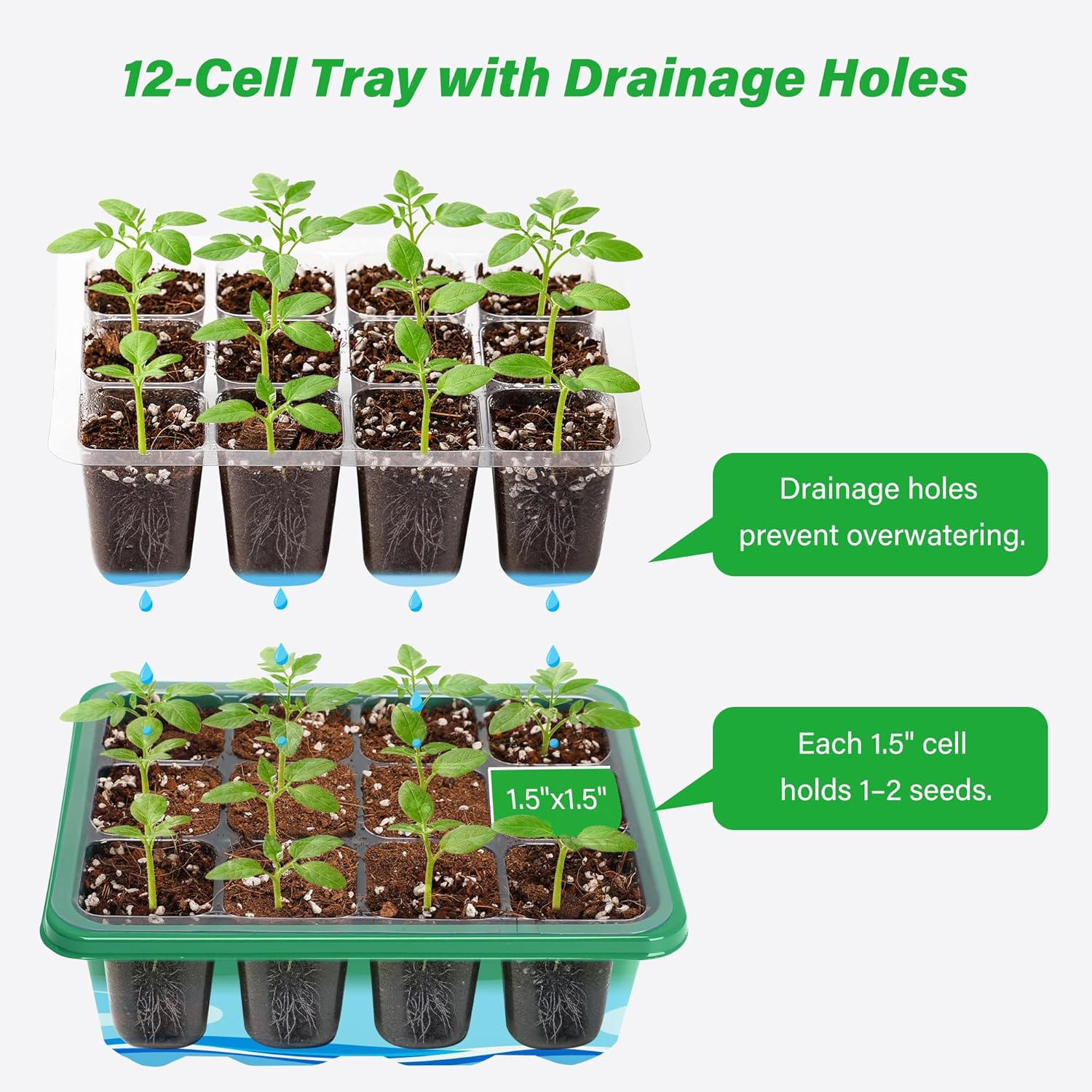 صواني زراعة وبدء الإنبات للبذو - مراجعة Propagation Tray Dome وسعره